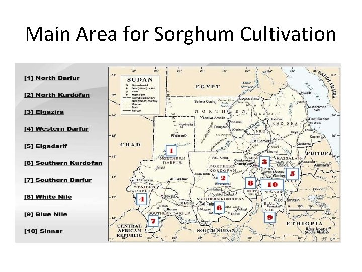 Main Area for Sorghum Cultivation 