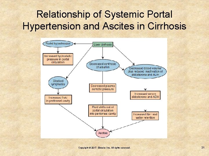 Relationship of Systemic Portal Hypertension and Ascites in Cirrhosis Copyright © 2017, Elsevier Inc.