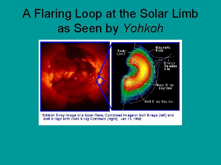 A Flaring Loop at the Solar Limb as Seen by Yohkoh A Flaring Loop at the Solar Limb as Seen by Yohkoh