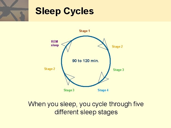 Sleep Cycles Stage 1 REM sleep Stage 2 90 to 120 min. Stage 2