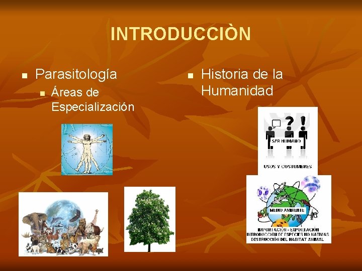 INTRODUCCIÒN n Parasitología n Áreas de Especialización n Historia de la Humanidad 