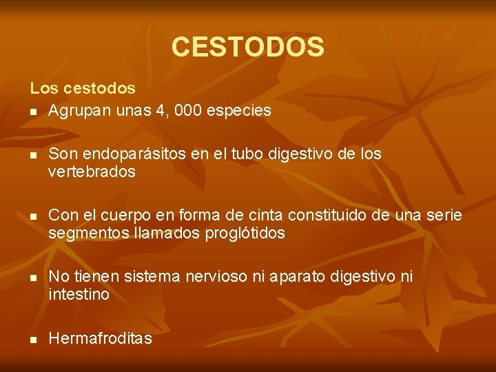 CESTODOS Los cestodos n Agrupan unas 4, 000 especies n n Son endoparásitos en