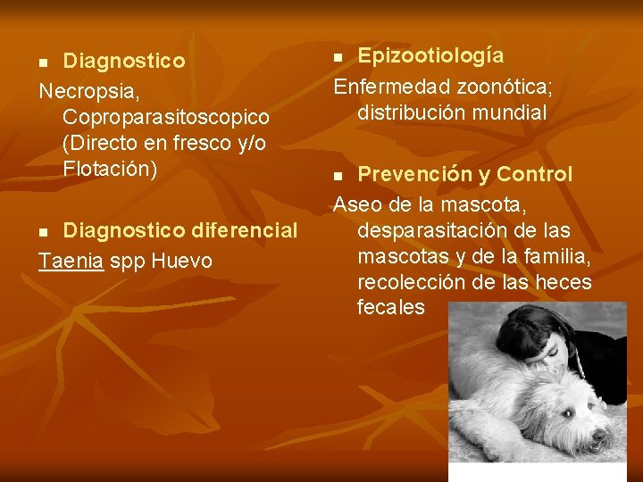 Diagnostico Necropsia, Coproparasitoscopico (Directo en fresco y/o Flotación) n Diagnostico diferencial Taenia spp Huevo