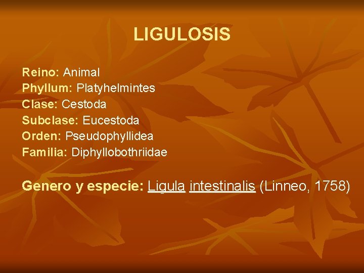 LIGULOSIS Reino: Animal Phyllum: Platyhelmintes Clase: Cestoda Subclase: Eucestoda Orden: Pseudophyllidea Familia: Diphyllobothriidae Genero