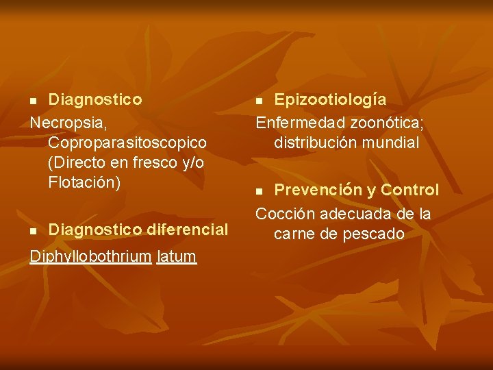 Diagnostico Necropsia, Coproparasitoscopico (Directo en fresco y/o Flotación) n n Diagnostico diferencial Diphyllobothrium latum