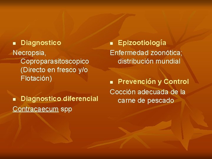 Diagnostico Necropsia, Coproparasitoscopico (Directo en fresco y/o Flotación) n Diagnostico diferencial Contracaecum spp n