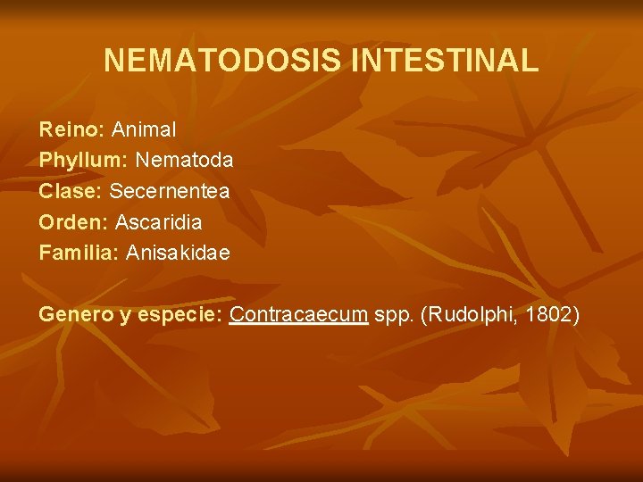 NEMATODOSIS INTESTINAL Reino: Animal Phyllum: Nematoda Clase: Secernentea Orden: Ascaridia Familia: Anisakidae Genero y