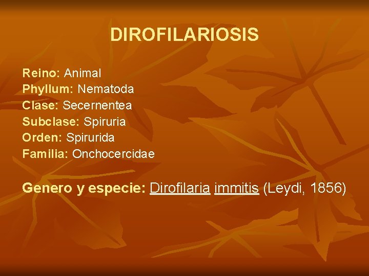 DIROFILARIOSIS Reino: Animal Phyllum: Nematoda Clase: Secernentea Subclase: Spiruria Orden: Spirurida Familia: Onchocercidae Genero