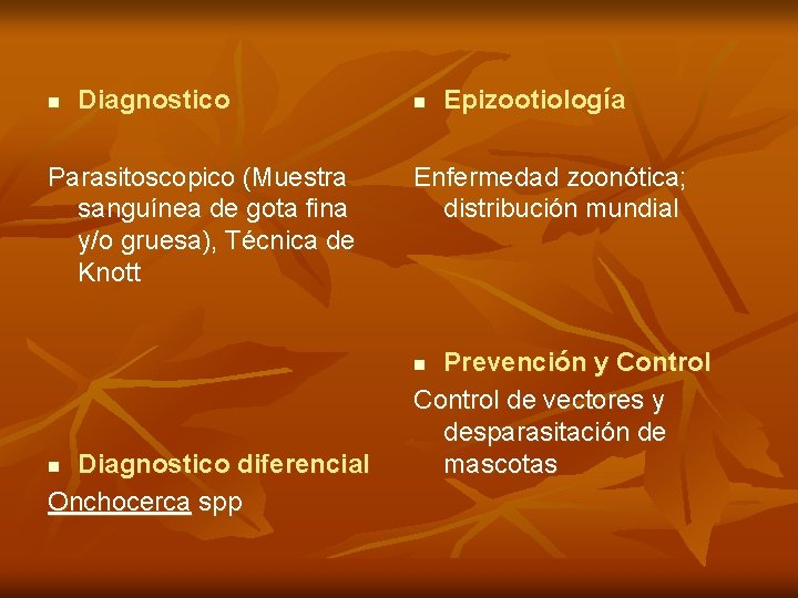 n Diagnostico Parasitoscopico (Muestra sanguínea de gota fina y/o gruesa), Técnica de Knott n