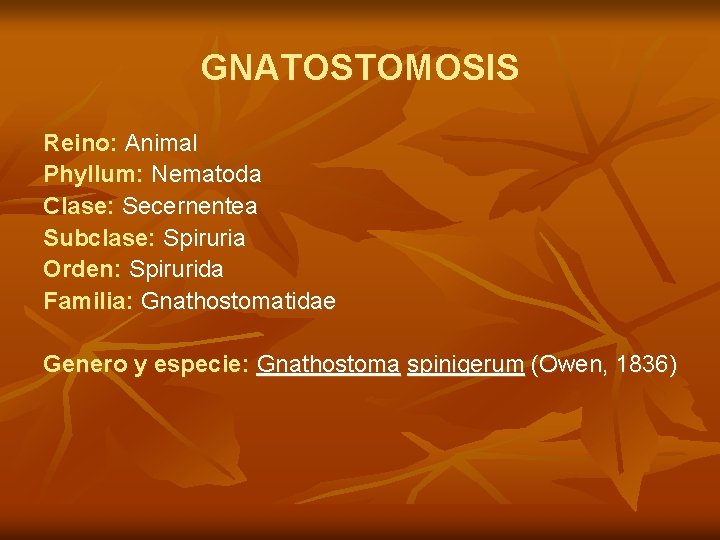 GNATOSTOMOSIS Reino: Animal Phyllum: Nematoda Clase: Secernentea Subclase: Spiruria Orden: Spirurida Familia: Gnathostomatidae Genero