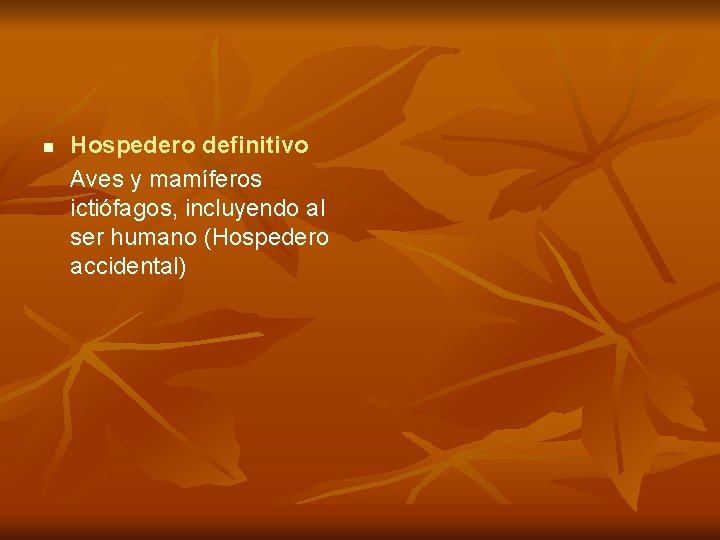 n Hospedero definitivo Aves y mamíferos ictiófagos, incluyendo al ser humano (Hospedero accidental) 