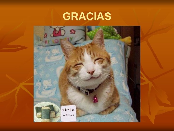 GRACIAS 