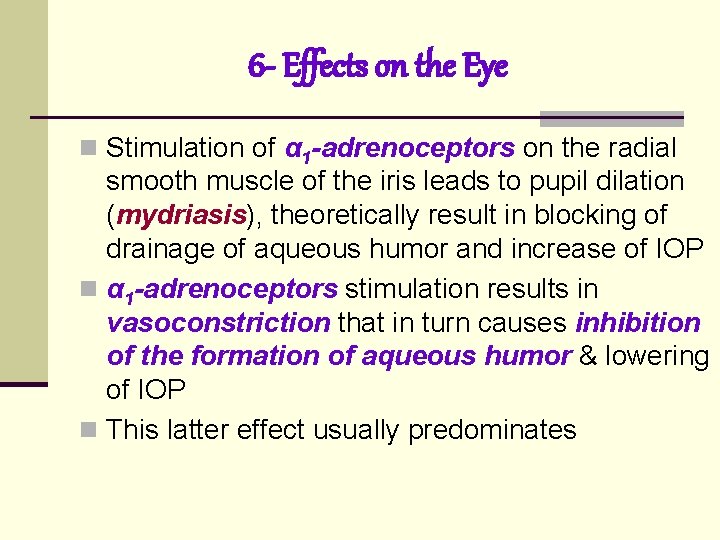 6 - Effects on the Eye n Stimulation of α 1 -adrenoceptors on the