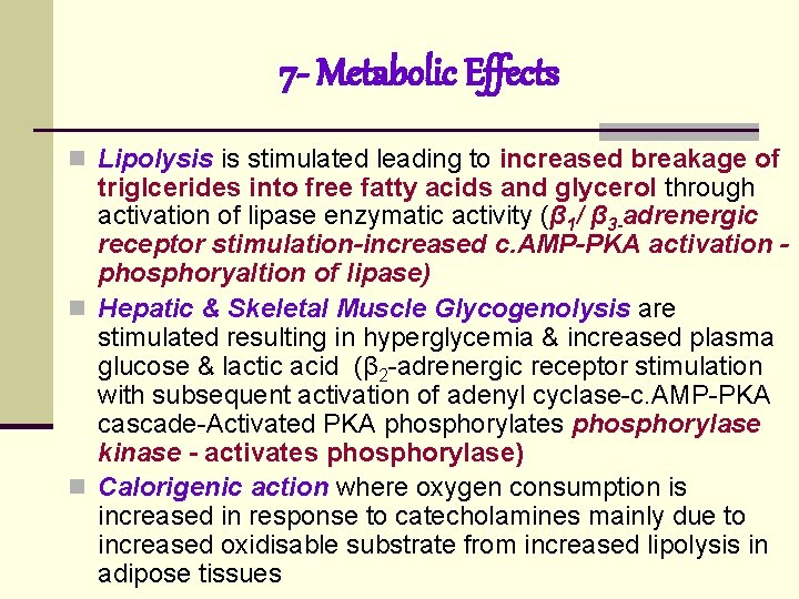 7 - Metabolic Effects n Lipolysis is stimulated leading to increased breakage of triglcerides