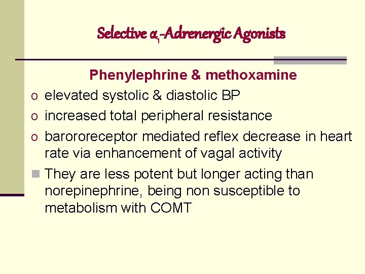 Selective α 1 -Adrenergic Agonists Phenylephrine & methoxamine o elevated systolic & diastolic BP