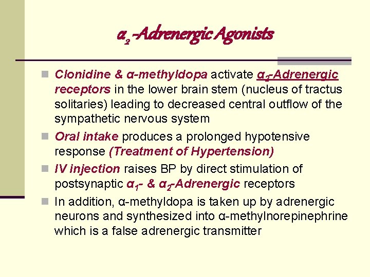 α 2 -Adrenergic Agonists n Clonidine & α-methyldopa activate α 2 -Adrenergic receptors in