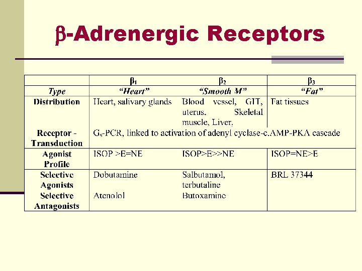  -Adrenergic Receptors 