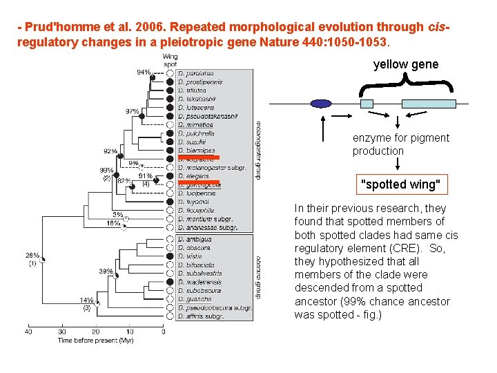 - Prud'homme et al. 2006. Repeated morphological evolution through cisregulatory changes in a pleiotropic