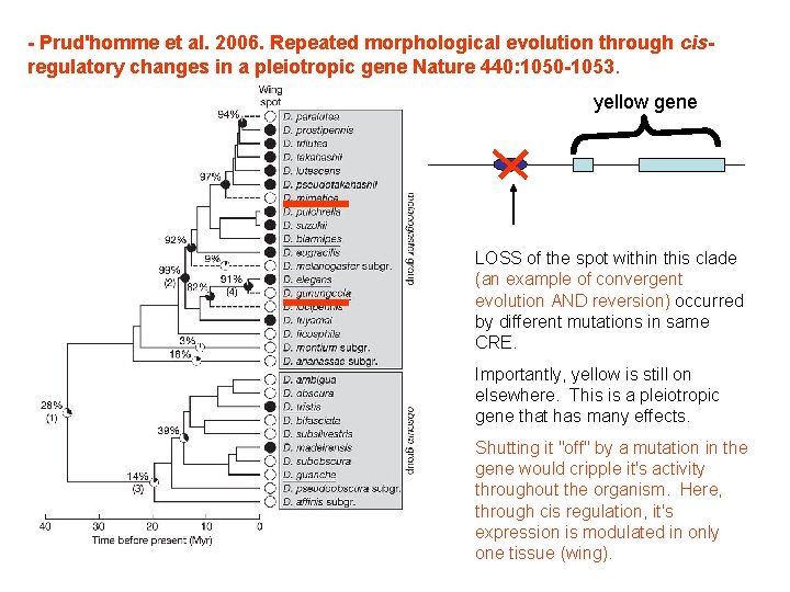 - Prud'homme et al. 2006. Repeated morphological evolution through cisregulatory changes in a pleiotropic