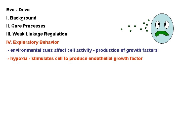 Evo - Devo I. Background II. Core Processes III. Weak Linkage Regulation IV. Exploratory