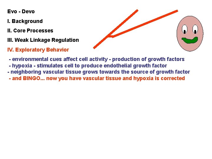 Evo - Devo I. Background II. Core Processes III. Weak Linkage Regulation IV. Exploratory