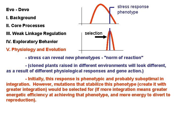 stress response phenotype Evo - Devo I. Background II. Core Processes III. Weak Linkage