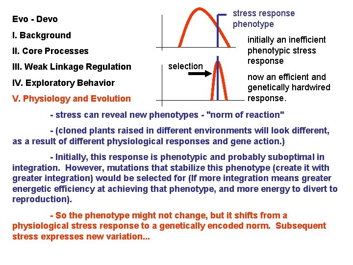 stress response phenotype Evo - Devo I. Background II. Core Processes III. Weak Linkage