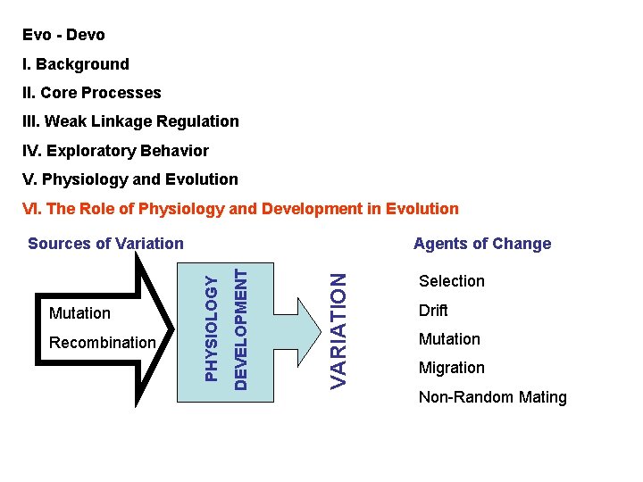 Evo - Devo I. Background II. Core Processes III. Weak Linkage Regulation IV. Exploratory