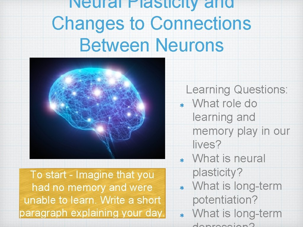 Neural Plasticity and Changes to Connections Between Neurons To start - Imagine that you