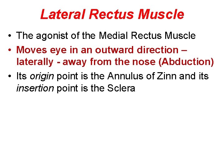 Lateral Rectus Muscle • The agonist of the Medial Rectus Muscle • Moves eye