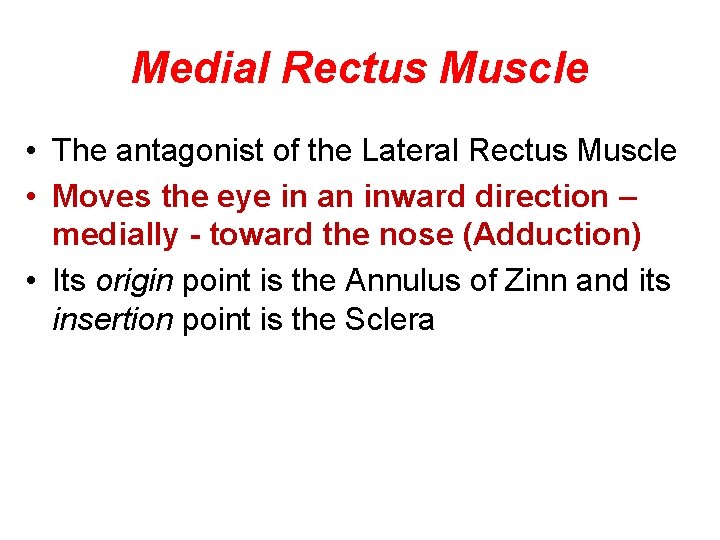 Medial Rectus Muscle • The antagonist of the Lateral Rectus Muscle • Moves the