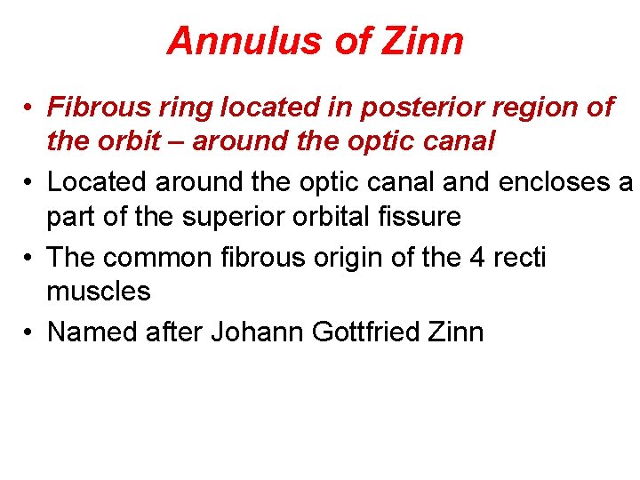 Annulus of Zinn • Fibrous ring located in posterior region of the orbit –