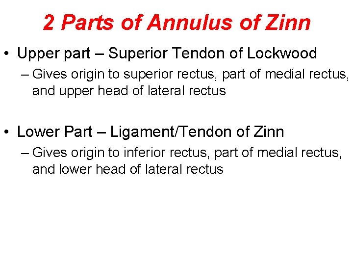 2 Parts of Annulus of Zinn • Upper part – Superior Tendon of Lockwood