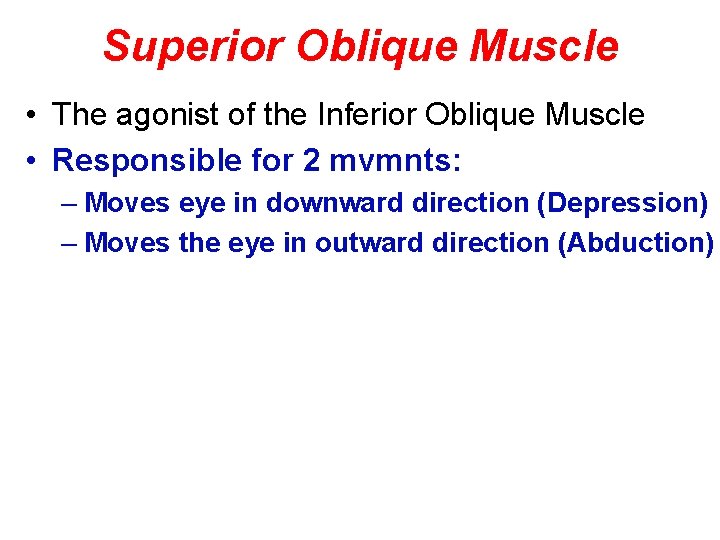 Superior Oblique Muscle • The agonist of the Inferior Oblique Muscle • Responsible for