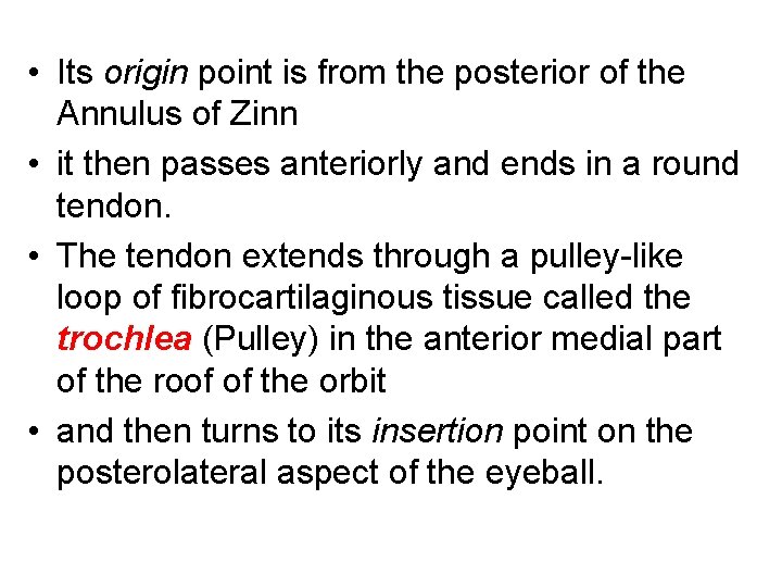  • Its origin point is from the posterior of the Annulus of Zinn