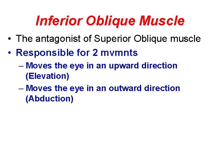 Inferior Oblique Muscle • The antagonist of Superior Oblique muscle • Responsible for 2