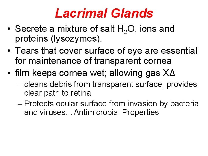 Lacrimal Glands • Secrete a mixture of salt H 2 O, ions and proteins