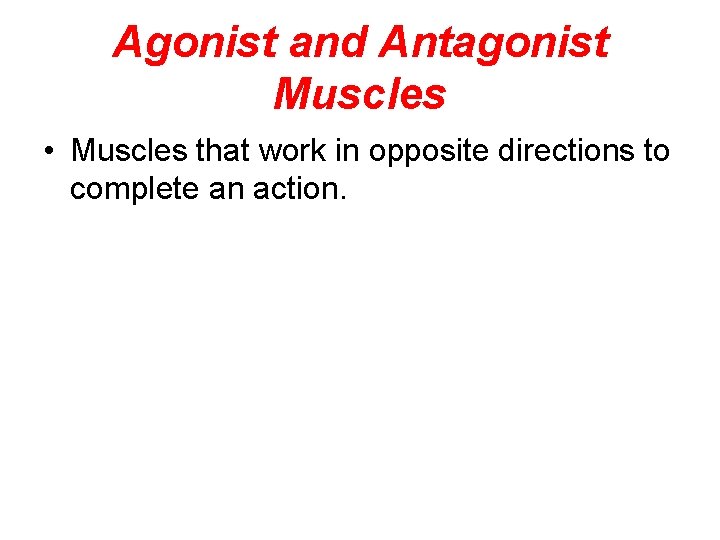 Agonist and Antagonist Muscles • Muscles that work in opposite directions to complete an