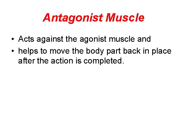 Antagonist Muscle • Acts against the agonist muscle and • helps to move the