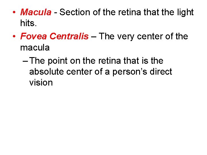  • Macula - Section of the retina that the light hits. • Fovea