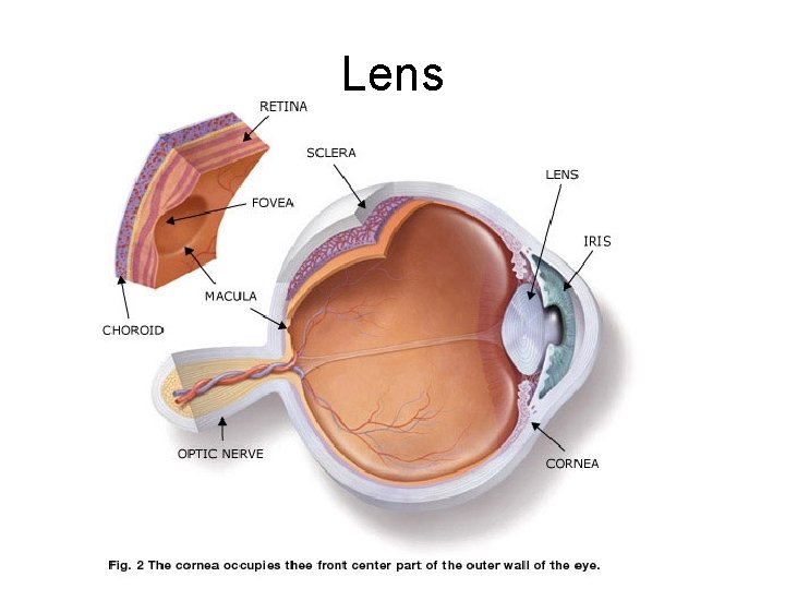 Lens 