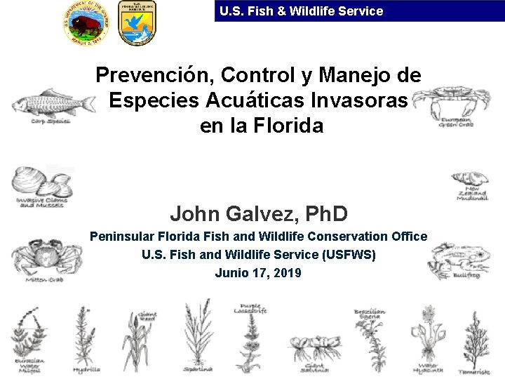 U. S. Fish & Wildlife Service Prevención, Control y Manejo de Especies Acuáticas Invasoras