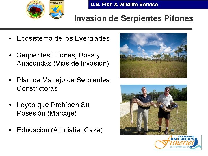 U. S. Fish & Wildlife Service Invasion de Serpientes Pitones • Ecosistema de los