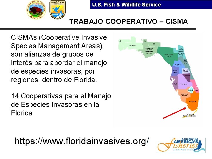 U. S. Fish & Wildlife Service TRABAJO COOPERATIVO – CISMAs (Cooperative Invasive Species Management