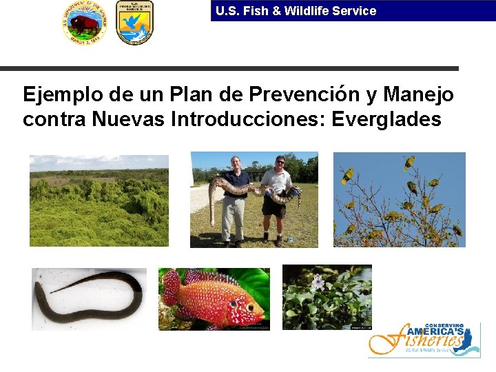 U. S. Fish & Wildlife Service Ejemplo de un Plan de Prevención y Manejo