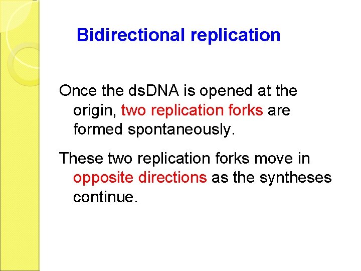 Bidirectional replication Once the ds. DNA is opened at the origin, two replication forks