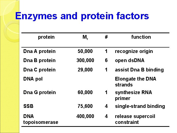 Enzymes and protein factors protein Mr # Dna A protein 50, 000 1 recognize