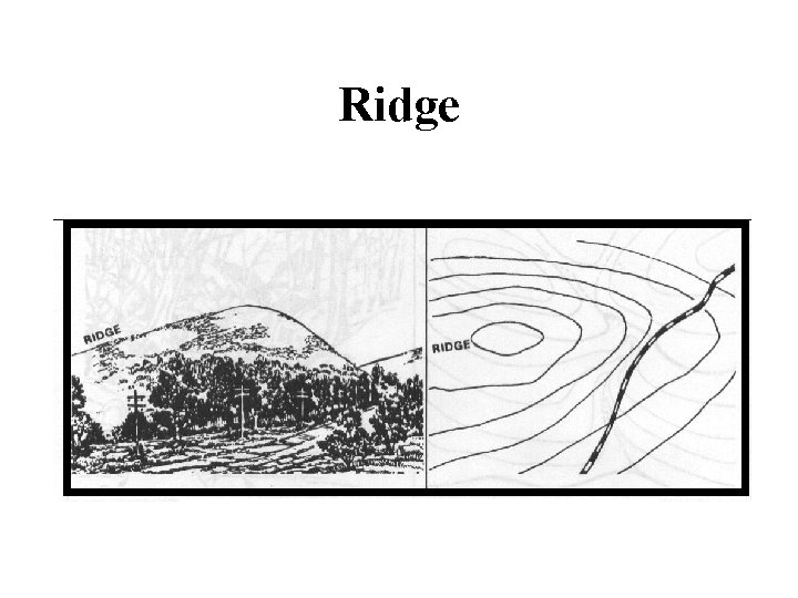 Ridge 