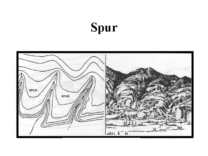 Spur 