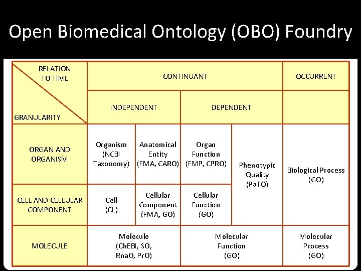Open Biomedical Ontology (OBO) Foundry RELATION CONTINUANT TO TIME INDEPENDENT OCCURRENT DEPENDENT GRANULARITY ORGAN
